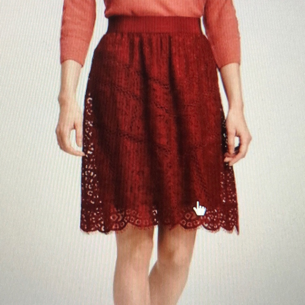 Ann Taylor Lace Skirt sz 14